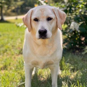 Meet your Posher, Mallory